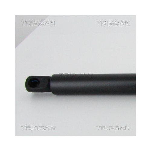Gasfeder, Koffer-/Laderaum TRISCAN 8710 24258 für OPEL VAUXHALL, hinten links