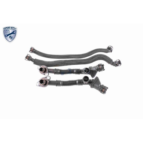 Reparatursatz, Kurbelgeh&auml;useentl&uuml;ftung VAICO V20-3292 EXPERT KITS + f&uuml;r BMW