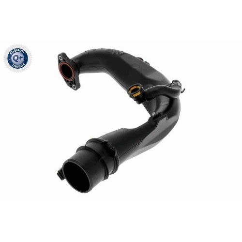 Ladeluftschlauch VAICO V46-1683 Q+, Erstausr&uuml;sterqualit&auml;t f&uuml;r NISSAN RENAULT
