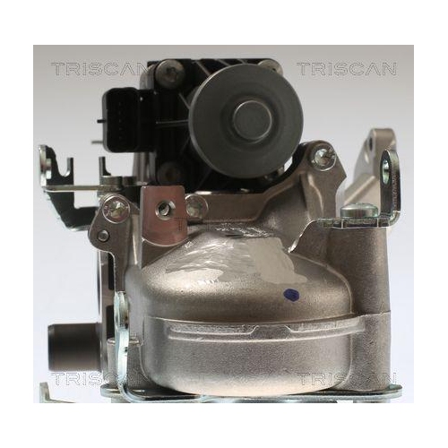 AGR-Ventil TRISCAN 8813 28108 für CITROËN PEUGEOT