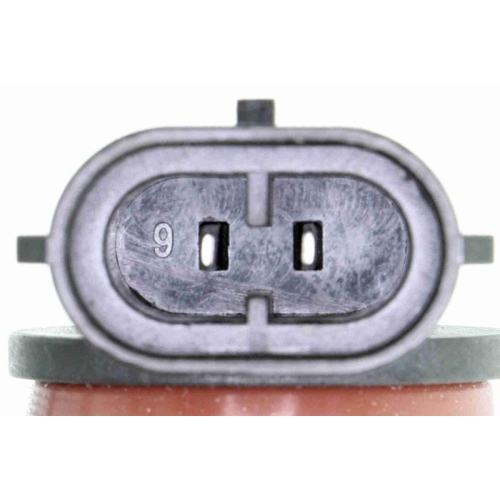 Glühlampe VEMO V99-84-0075 Original VEMO Qualität für AUDI VW VAG