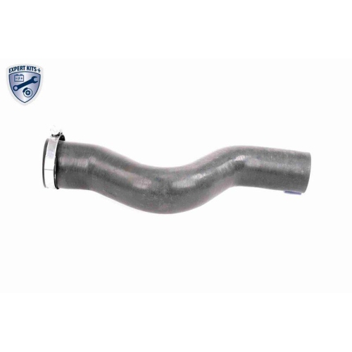 Ladeluftschlauch VAICO V38-0488 EXPERT KITS + f&uuml;r OPEL, Abgasturbolader, rechts