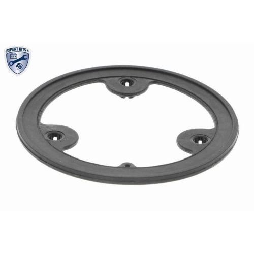 &Ouml;lk&uuml;hler, Motor&ouml;l VEMO V24-60-0011 EXPERT KITS + f&uuml;r ALFA ROMEO FIAT IVECO