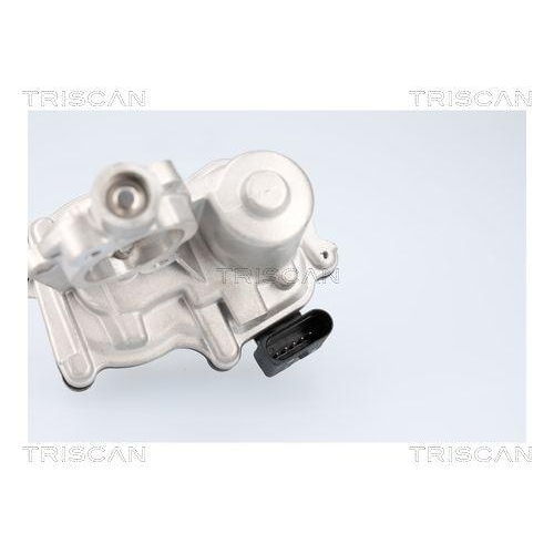 AGR-Ventil TRISCAN 8813 29116 f&uuml;r AUDI SEAT SKODA