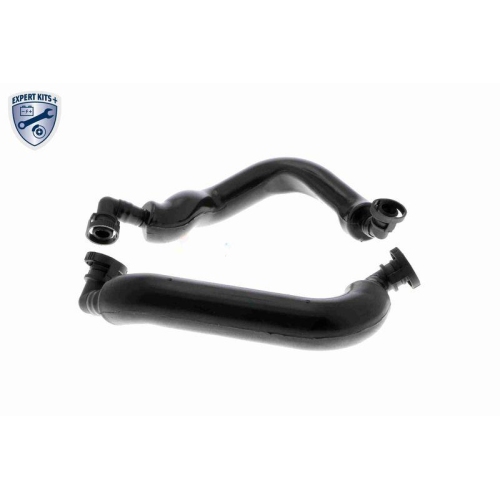 Reparatursatz, Kurbelgehäuseentlüftung VAICO V20-3356 EXPERT KITS + für BMW