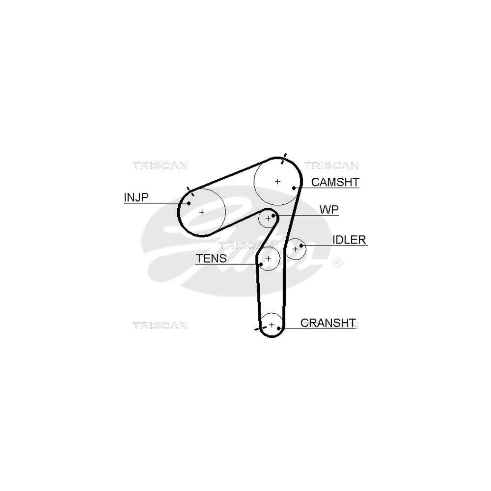 Zahnriemen TRISCAN 8645 5462xs für DANA