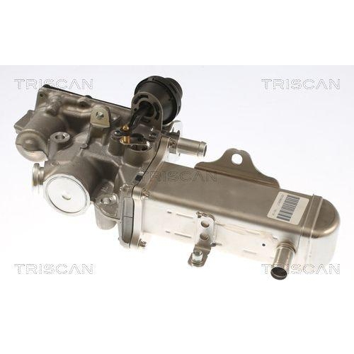 AGR-Ventil TRISCAN 8813 69102 für SUZUKI