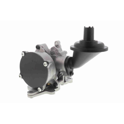VAICO V10-8003 &Ouml;lpumpe Original VAICO Qualit&auml;t f&uuml;r AUDI