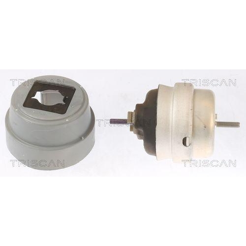 Lagerung, Motor TRISCAN 8505 29101 f&uuml;r AUDI SEAT, rechts, vorne