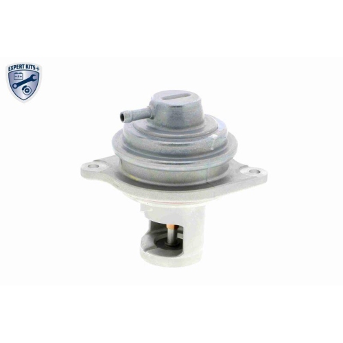 AGR-Ventil VEMO V30-63-0041 EXPERT KITS + f&uuml;r MERCEDES-BENZ
