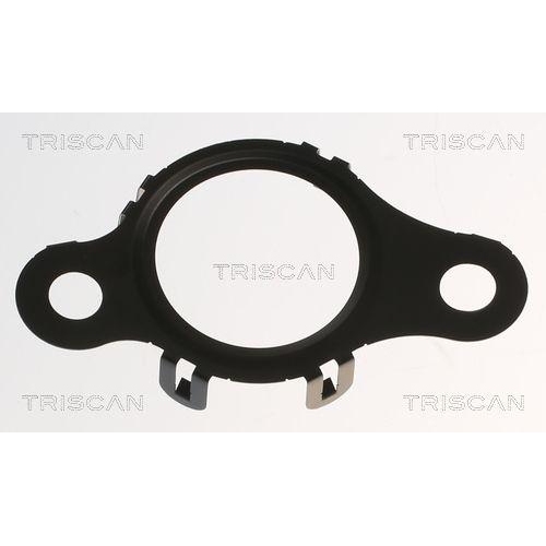 Dichtung TRISCAN 8813 99191 für RENAULT