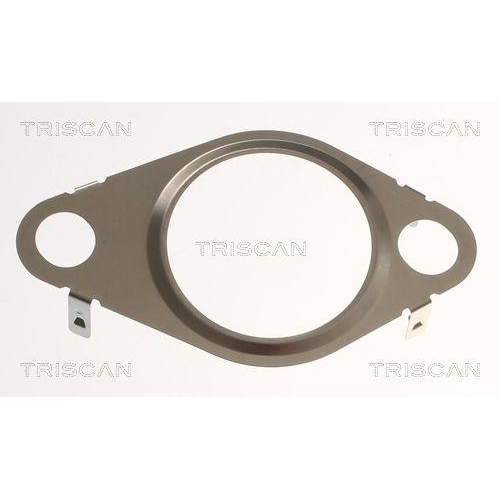 Dichtung TRISCAN 8813 99192 f&uuml;r RENAULT