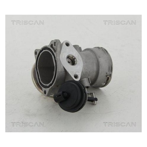 AGR-Ventil TRISCAN 8813 16023 für AUDI FORD SEAT SKODA VW HITACHI