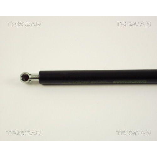 Gasfeder, Koffer-/Laderaum TRISCAN 8710 29235 für VW