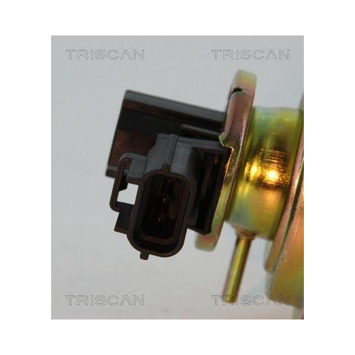 AGR-Ventil TRISCAN 8813 16030 f&uuml;r FORD