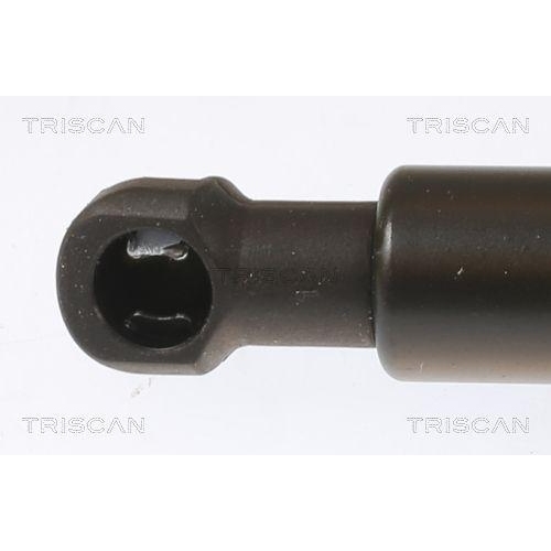 Gasfeder, Koffer-/Laderaum TRISCAN 8710 28251 für CITROËN, hinten links