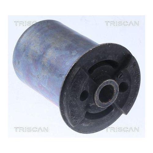 Lagerung, Achsk&ouml;rper TRISCAN 8500 25875 f&uuml;r RENAULT, Hinterachse