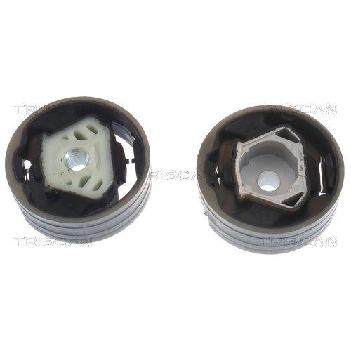 Lagerung, Motor TRISCAN 8505 29114 f&uuml;r AUDI SEAT SKODA VW, hinten, unten