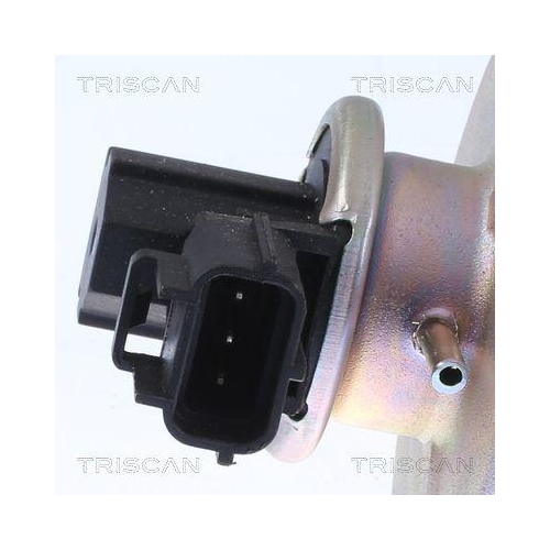 AGR-Ventil TRISCAN 8813 16054 f&uuml;r FORD