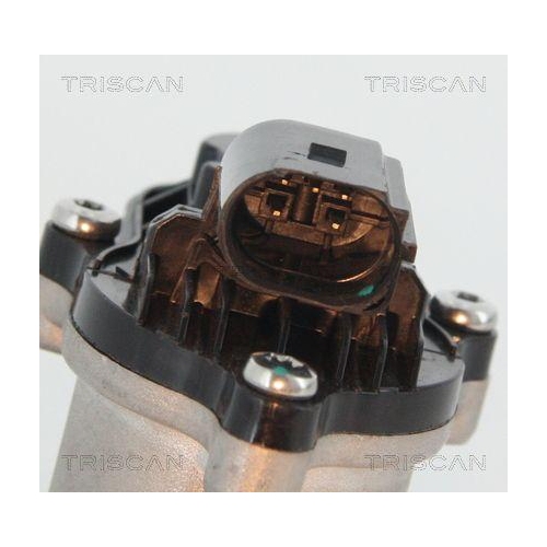 AGR-Ventil TRISCAN 8813 16151 für FORD