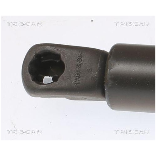 Gasfeder, Koffer-/Laderaum TRISCAN 8710 292068 für SKODA, hinten links