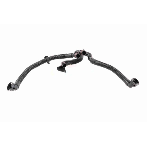 Schlauch, Kurbelgeh&auml;useentl&uuml;ftung VAICO V10-5458 Original VAICO Qualit&auml;t f&uuml;r VW