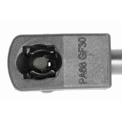 Gasfeder, Heckscheibe VAICO V24-0204 Original VAICO Qualit&auml;t f&uuml;r FIAT