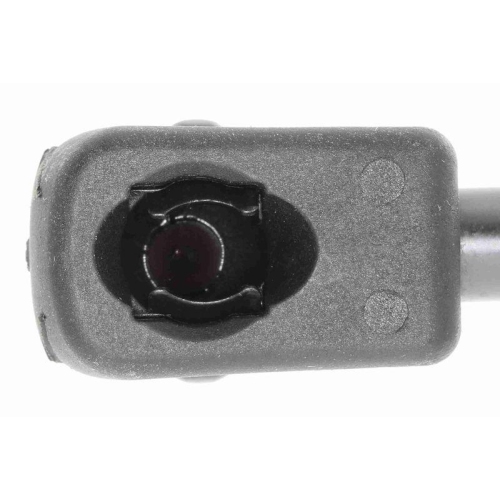 Gasfeder, Koffer-/Laderaum VAICO V24-0205 Original VAICO Qualit&auml;t f&uuml;r FIAT