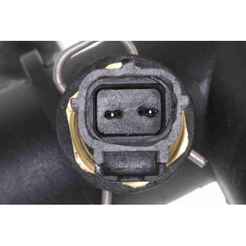 K&uuml;hlerschlauch VAICO V41-0037 Q+, Erstausr&uuml;sterqualit&auml;t f&uuml;r JAGUAR, oben