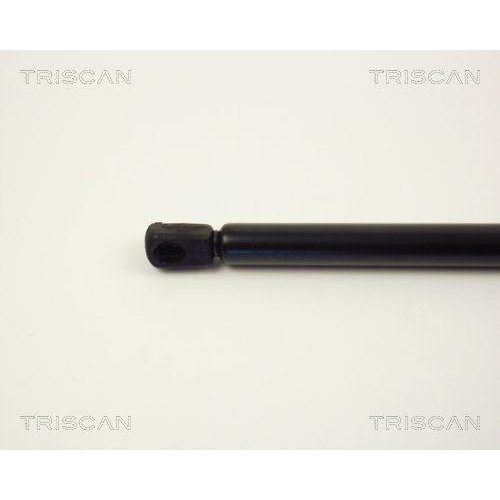 Gasfeder, Koffer-/Laderaum TRISCAN 8710 1602 für FORD
