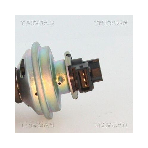 AGR-Ventil TRISCAN 8813 17100 f&uuml;r LAND ROVER