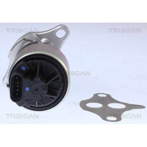 AGR-Ventil TRISCAN 8813 21001 f&uuml;r CHEVROLET DAEWOO GENERAL MOTORS