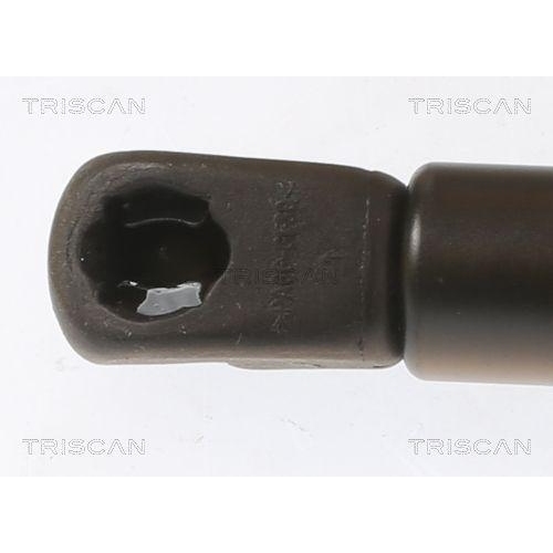 Gasfeder, Koffer-/Laderaum TRISCAN 8710 43248 f&uuml;r HYUNDAI, hinten links
