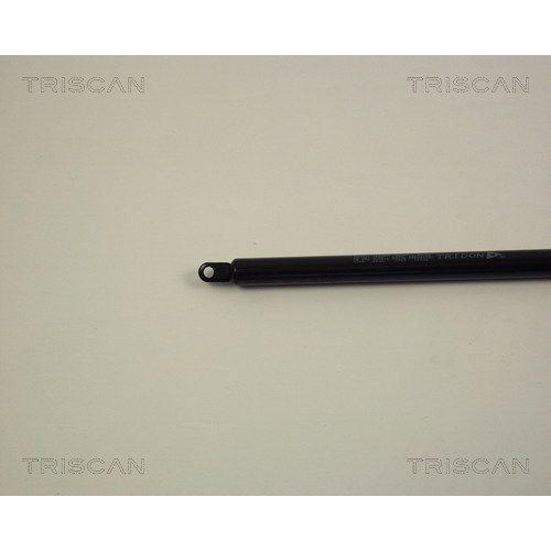 Gasfeder, Motorhaube TRISCAN 8710 1004 für AUDI