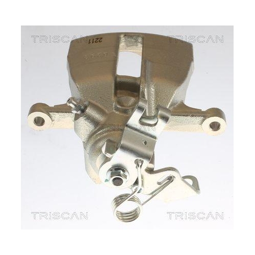 Bremssattel TRISCAN 8175 29220 für AUDI SEAT SKODA VW, Hinterachse rechts