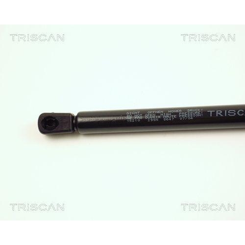 Gasfeder, Koffer-/Laderaum TRISCAN 8710 16210 f&uuml;r