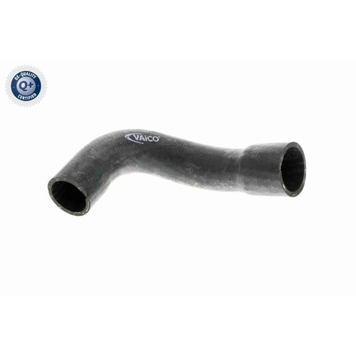 K&uuml;hlerschlauch VAICO V20-0157 Q+, Erstausr&uuml;sterqualit&auml;t f&uuml;r BMW, rechts unten