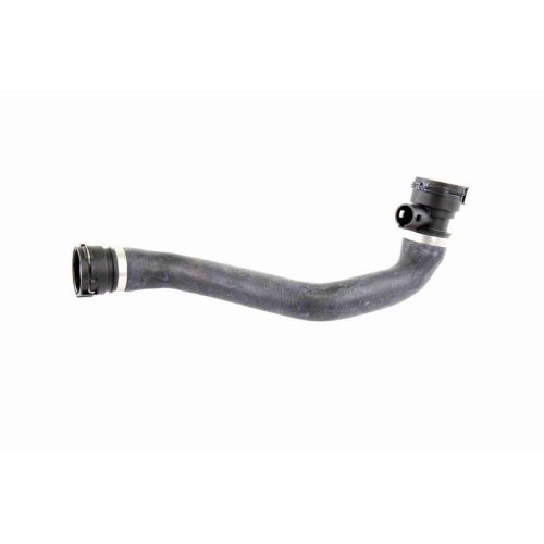 K&uuml;hlerschlauch VAICO V20-0789 Q+, Erstausr&uuml;sterqualit&auml;t f&uuml;r BMW, unten