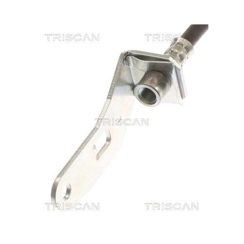 Bremsschlauch TRISCAN 8150 81206 f&uuml;r TESLA, Hinterachse links