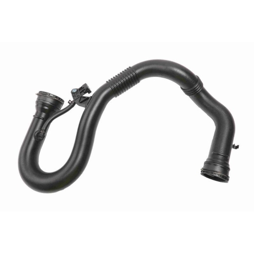 Ladeluftschlauch VAICO V46-1593 Original VAICO Qualität für RENAULT
