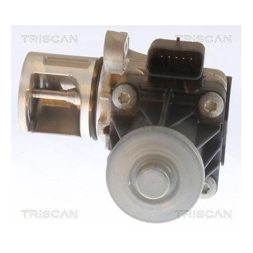 AGR-Ventil TRISCAN 8813 10053 f&uuml;r CITRO&Euml;N FORD PEUGEOT VOLVO HITACHI