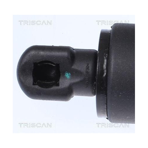Gasfeder, Koffer-/Laderaum TRISCAN 8710 112016 für BMW, hinten links
