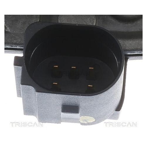 AGR-Ventil TRISCAN 8813 29006 f&uuml;r MAN VW