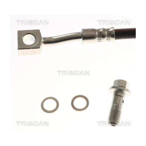 Bremsschlauch TRISCAN 8150 81209 f&uuml;r TESLA