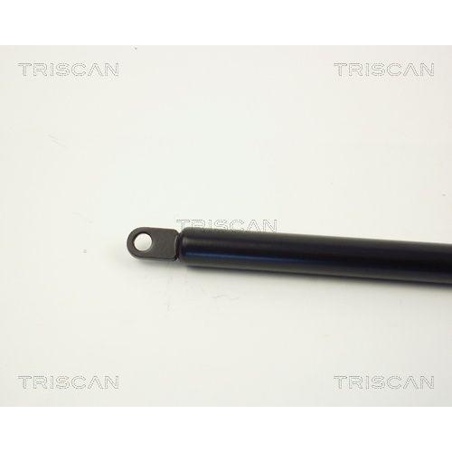 Gasfeder, Koffer-/Laderaum TRISCAN 8710 6502 f&uuml;r SAAB