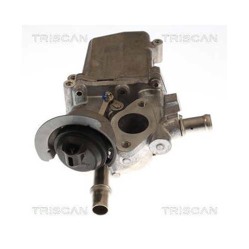 AGR-Ventil TRISCAN 8813 25048 für NISSAN RENAULT