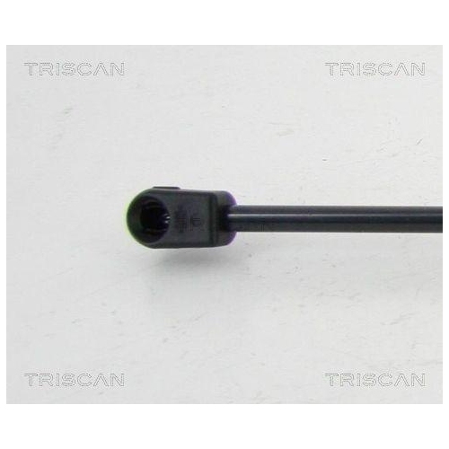 Gasfeder, Koffer-/Laderaum TRISCAN 8710 292004 für VW, hinten links