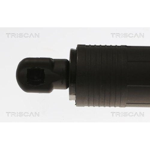 Gasfeder, Koffer-/Laderaum TRISCAN 8710 11306 für BMW, hinten rechts