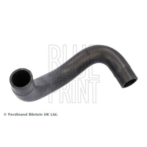 K&uuml;hlerschlauch BLUE PRINT ADBP930011 f&uuml;r HYUNDAI KIA, rechts unten