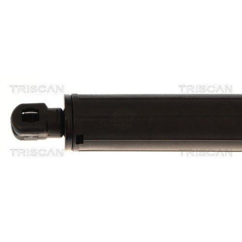 TRISCAN 8710 84301 Gasfeder, Koffer-/Laderaum f&uuml;r BYD, links